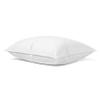 Ameridown Elite Firm 600 Fill Power Down Pillow, Ideal Support for Side Sleepers, Standard Size, White view 1