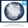 Ameridown Elite Firm 600 Fill Power Down Pillow, Ideal Support for Side Sleepers, Standard Size, White view 3