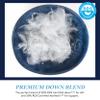 AmeriDown Premier Medium Down and Feather Pillow, Ideal Support for Back Sleepers, Queen Size, White view 3
