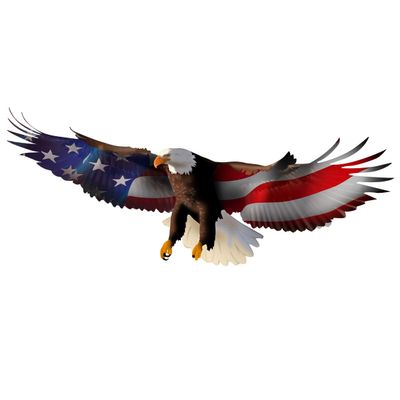 VWAQ Bald Eagle American Flag Wall Decal Patriotic Decor USA Art Decoration - NA16 (20" H X 50" W)