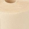 Disiclin Ziclon Econatur Eco-Friendly 2 Layers Multi-Purpose Coil 320 Services 200 g view 3