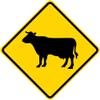 TNND Cow Cattle Crossing Symbol Road Street Warning Sign Plaques and Signs Outdoor Aluminum Metal Sign 12X12 Inches view 1