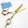 5 inches Tooth Scissors, Professional Barber Hair Cutting Scissors and Texturizing/Thinning Shears - Perfect for Hair Stylist or Family Use,Golden view 2