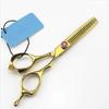 5 inches Tooth Scissors, Professional Barber Hair Cutting Scissors and Texturizing/Thinning Shears - Perfect for Hair Stylist or Family Use,Golden view 3