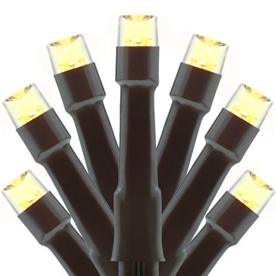 YULETIME 100 ft 300 Count Warm White LED String Lights with 8 Models Adapter, Brown Wire Wide Angle 5mm Christmas Lights (Warm White - Brown Wire)