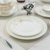 50 Pc Dinnerware Set, Porcelain Combination Set with 10.5" Dinner Plate, 7.5" Dessert Plate, 5.9"/ 7.9" Bowl, One Fish Plate, One 13-inch large Plate, Toothpicks and Ashtray,Pink-B view 3