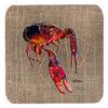 CoolCookware Crawfish Foam Coasters44; Set of 4 view 1