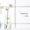 Aderia B-2404 Glass Vase, Mini Mini Vase, Clear, Diameter 3.0 x Height 5.1 inches (7.7 x 12.9 cm), Made in Japan view 2