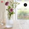 Aderia B-2404 Glass Vase, Mini Mini Vase, Clear, Diameter 3.0 x Height 5.1 inches (7.7 x 12.9 cm), Made in Japan view 4