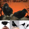 5X Halloween Crow Prop Black Realistic Ravens Feathered Spooky Party Home Decors view 1