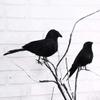 5X Halloween Crow Prop Black Realistic Ravens Feathered Spooky Party Home Decors view 2