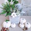 12 PCS White Artificial Pumpkins for Halloween, Fall Thanksgiving Decorating view 1