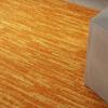 Nourison Home Nourison Essentials Sunburst 5' x 7' Area Rug - Easy Clean, Non Shedding, Bed Room, Living Room, Dining Room, Kitchen (5' x 7') view 2