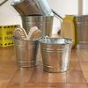 Dalton H19-0047-1 Galvanized Bucket, 33.8 fl oz (1 L) view 3