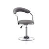 Barstool with Backrest, Non-Slip Adjustable Height SGS Gas Lifting Bar High Chair 360 Swivel Seat Durable Breakfast Stool (Color : Gray, Size : H1) view 1