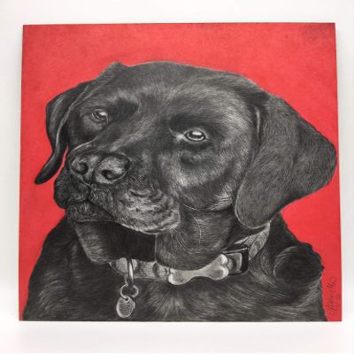 Black Labrador Retriever Drawing, Original Colored Pencil Drawing
