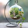 Firlar 10 Pack Spiral Ornament Display Stand, 9 Inch Tall Iron Glass Ball Ornament Holder Stand for Hanging Plants, for Christmas Wedding Ornament, Home Office Decor (Black) view 3