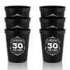 Cheers To 30 Years Stadium Party Cup 30th Birthday Gift Thirty And Fabulous Party Favors 30th Birthday Decorations Happy Birthday Cup 30th Birthday Plastic Drinking Cups Best Friend Cup Cheer Cups view 1