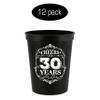 Cheers To 30 Years Stadium Party Cup 30th Birthday Gift Thirty And Fabulous Party Favors 30th Birthday Decorations Happy Birthday Cup 30th Birthday Plastic Drinking Cups Best Friend Cup Cheer Cups view 2