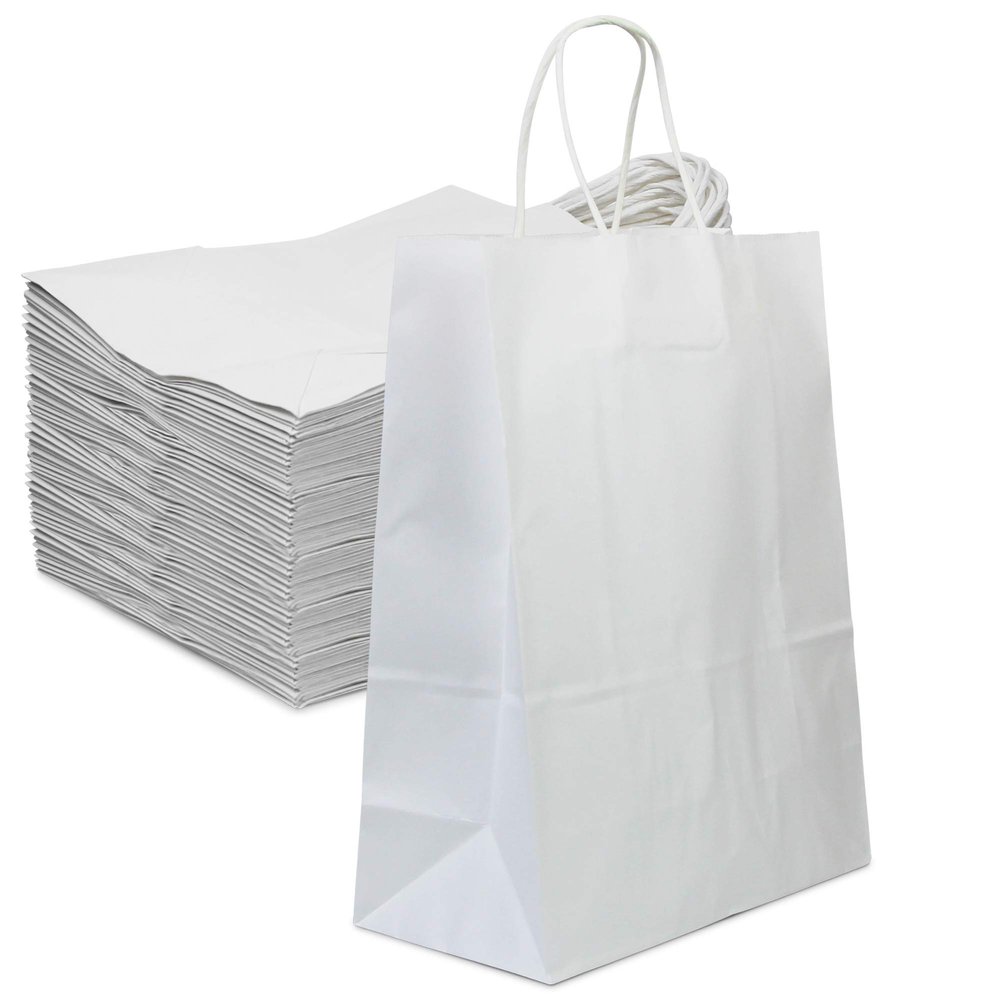 FMP Brands 250 Pack White Paper Bags with Handles 13 x 10 x 5Inch 12 LB Twisted Rope Retail Shopping Gift Durable Bleached Barrel Sack