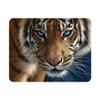 3D LiveLife Magnet - Blue Eyes from Deluxebase. Lenticular 3D Tiger Fridge Magnet. Magnetic Decor for Kids and Adults with Artwork Licensed from Renowned Artist, Collin Bogle view 1