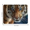 3D LiveLife Magnet - Blue Eyes from Deluxebase. Lenticular 3D Tiger Fridge Magnet. Magnetic Decor for Kids and Adults with Artwork Licensed from Renowned Artist, Collin Bogle view 2
