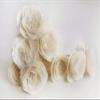 10 Wild Prairie Rose Sola Flower Reed Diffuser by Plawanature view 4