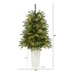 Nearly Natural 44in. Snowed Grand Teton Fir Artificial Christmas Tree with 50 Clear Lights and 111 Bendable Branches in Planter view 2