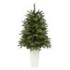 Nearly Natural 44in. Snowed Grand Teton Fir Artificial Christmas Tree with 50 Clear Lights and 111 Bendable Branches in Planter view 3