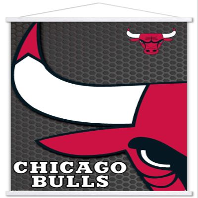 Trends International NBA Chicago Bulls - Logo 14 Wall Poster, 22.375" x 34", Premium Print and White Hanger Bundle