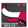Trends International NBA Chicago Bulls - Logo 14 Wall Poster, 22.375" x 34", Premium Print and White Hanger Bundle view 1