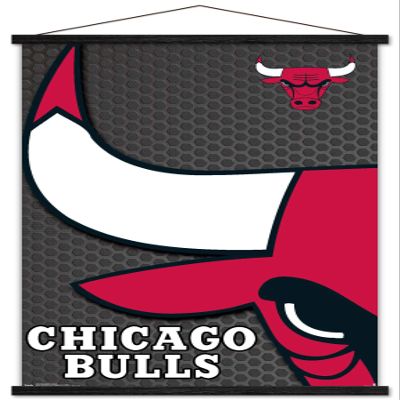 Trends International NBA Chicago Bulls - Logo 14 Wall Poster, 22.375" x 34", Premium Print and Black Hanger Bundle