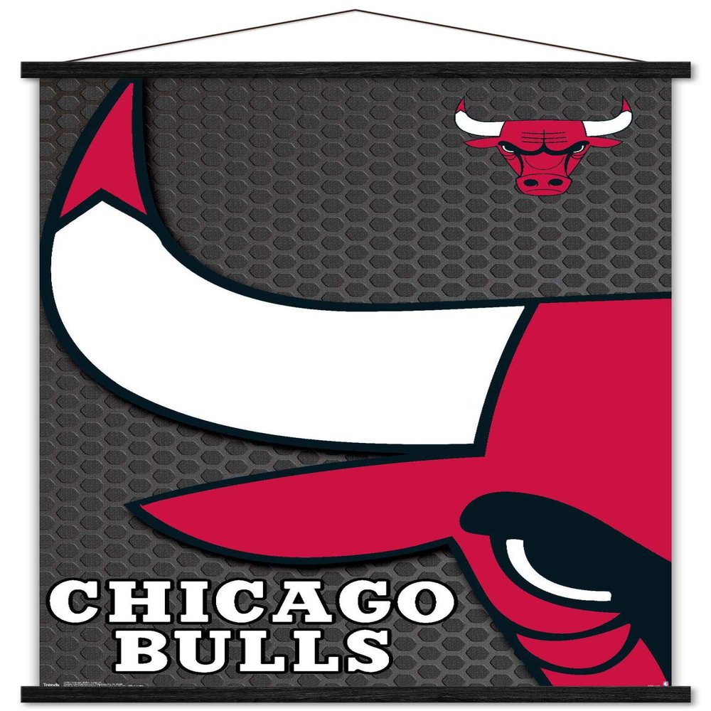 Trends International NBA Chicago Bulls - Logo 14 Wall Poster, 22.375" x 34", Premium Print and Black Hanger Bundle