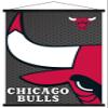 Trends International NBA Chicago Bulls - Logo 14 Wall Poster, 22.375" x 34", Premium Print and Black Hanger Bundle view 1