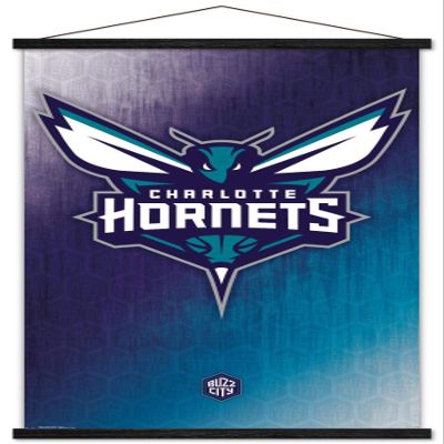 Trends International NBA Charlotte Hornets - Logo 14 Wall Poster, 22.375" x 34", Premium Print and Black Hanger Bundle