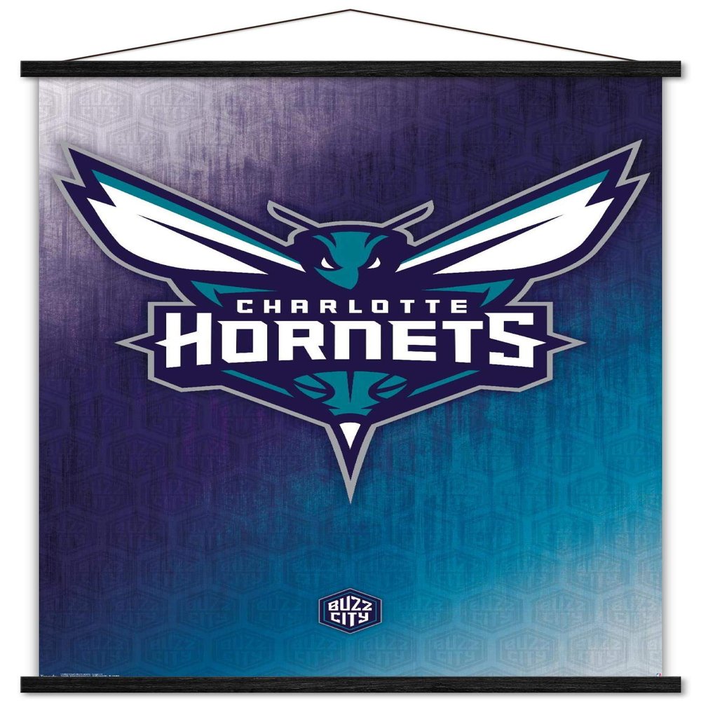 Trends International NBA Charlotte Hornets - Logo 14 Wall Poster, 22.375" x 34", Premium Print and Black Hanger Bundle