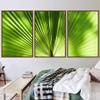 SIGNWIN 3 Piece Framed Canvas Wall Art Solid Greenery Abstract Abstract Industrial Modern Art Multicolor Patterns - 16"x24"x3 Panels view 1
