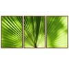 SIGNWIN 3 Piece Framed Canvas Wall Art Solid Greenery Abstract Abstract Industrial Modern Art Multicolor Patterns - 16"x24"x3 Panels view 2
