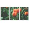 SIGNWIN 3 Piece Framed Canvas Wall Art Orange Blossom Canvas Prints Home Artwork Decoration for Living Room,Bedroom - 16"x24"x3 Panels view 2