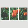 SIGNWIN 3 Piece Framed Canvas Wall Art Orange Blossom Canvas Prints Home Artwork Decoration for Living Room,Bedroom - 16"x24"x3 Panels view 3