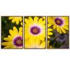 SIGNWIN 3 Piece Framed Canvas Wall Art Yellow Blossom Canvas Prints Home Artwork Decoration for Living Room,Bedroom - 16"x24"x3 Panels view 2