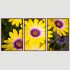 SIGNWIN 3 Piece Framed Canvas Wall Art Yellow Blossom Canvas Prints Home Artwork Decoration for Living Room,Bedroom - 16"x24"x3 Panels view 3