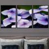 SIGNWIN 3 Piece Framed Canvas Wall Art Purple Blossom Canvas Prints Home Artwork Decoration for Living Room,Bedroom - 16"x24"x3 Panels view 1
