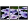 SIGNWIN 3 Piece Framed Canvas Wall Art Purple Blossom Canvas Prints Home Artwork Decoration for Living Room,Bedroom - 16"x24"x3 Panels view 2