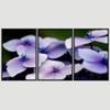 SIGNWIN 3 Piece Framed Canvas Wall Art Purple Blossom Canvas Prints Home Artwork Decoration for Living Room,Bedroom - 16"x24"x3 Panels view 3