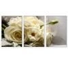 SIGNWIN 3 Piece Framed Canvas Wall Art White Blossom Canvas Prints Home Artwork Decoration for Living Room,Bedroom - 16"x24"x3 Panels view 2
