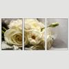 SIGNWIN 3 Piece Framed Canvas Wall Art White Blossom Canvas Prints Home Artwork Decoration for Living Room,Bedroom - 16"x24"x3 Panels view 3