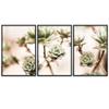 SIGNWIN 3 Piece Framed Canvas Wall Art White Blossom Canvas Prints Home Artwork Decoration for Living Room,Bedroom - 16"x24"x3 Panels view 2