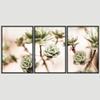 SIGNWIN 3 Piece Framed Canvas Wall Art White Blossom Canvas Prints Home Artwork Decoration for Living Room,Bedroom - 16"x24"x3 Panels view 3