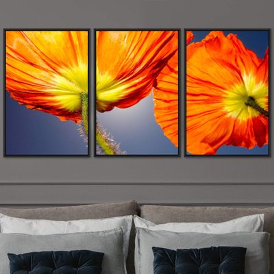 SIGNWIN 3 Piece Framed Canvas Wall Art Orange Blossom Canvas Prints Home Artwork Decoration for Living Room,Bedroom - 16"x24"x3 Panels
